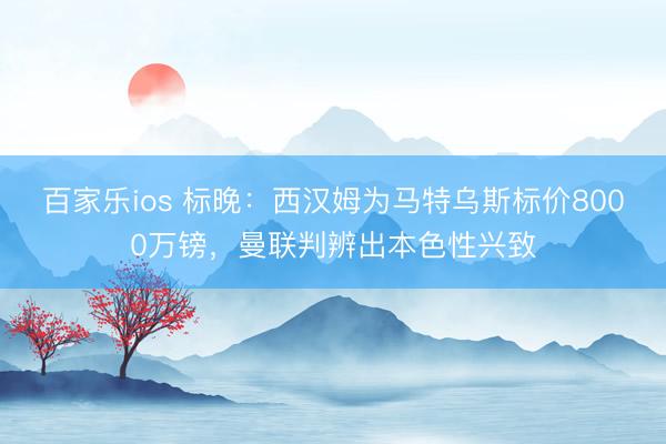 百家乐ios 标晚：西汉姆为马特乌斯标价8000万镑，曼联判辨出本色性兴致