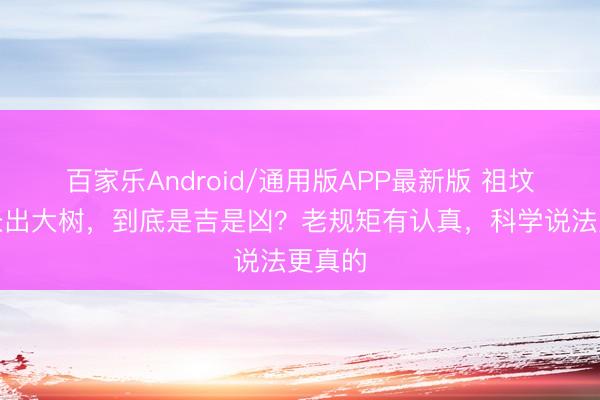 百家乐Android/通用版APP最新版 祖坟难熬长出大树，到底是吉是凶？老规矩有认真，科学说法更真的