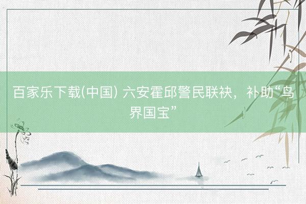 百家乐下载(中国) 六安霍邱警民联袂，补助“鸟界国宝”