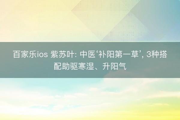 百家乐ios 紫苏叶: 中医‘补阳第一草’， 3种搭配助驱寒湿、升阳气